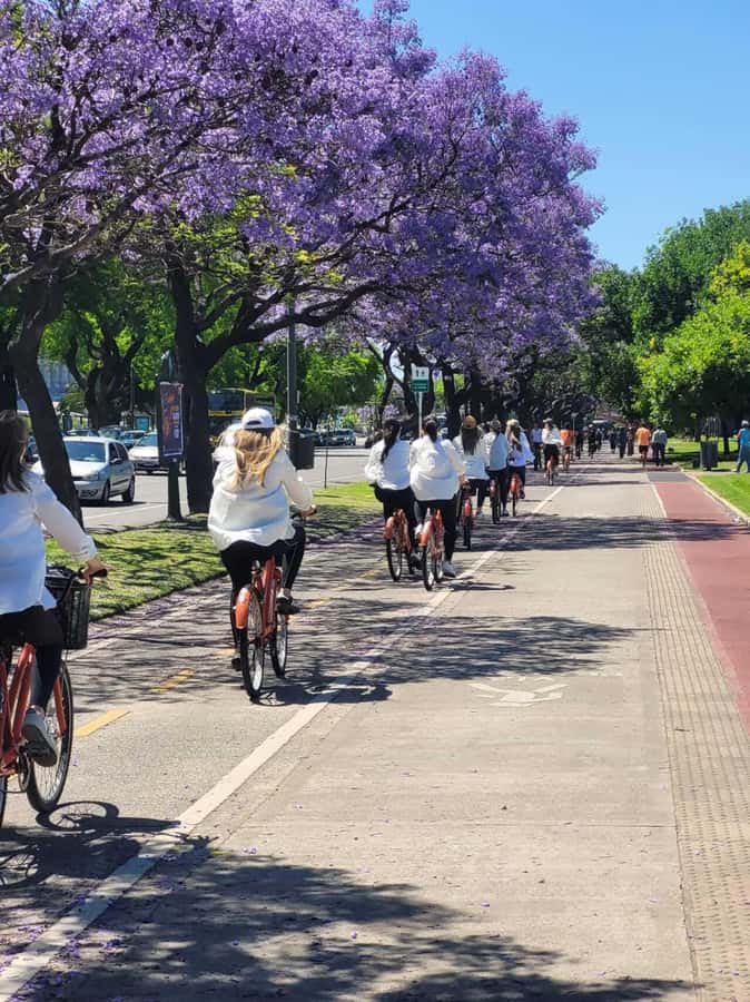 Bike Tour: Buenos Aires to the North - Plaza Francia and Floralis Genérica: a photo-worthy pause with meaning