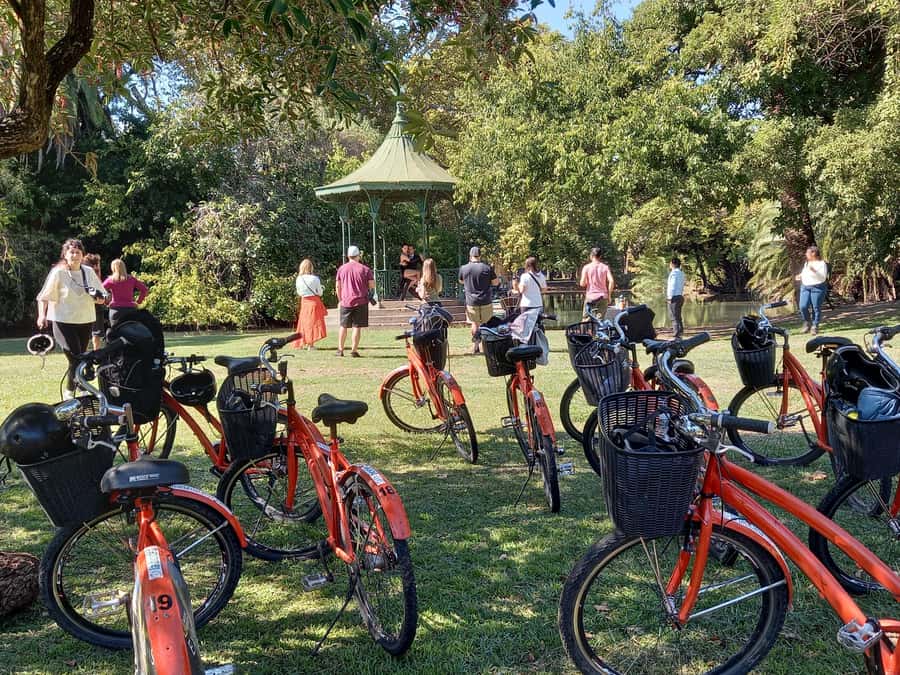 Bike Tour: Buenos Aires to the North - Big institutions on two wheels: Law School, art museum, and libraries