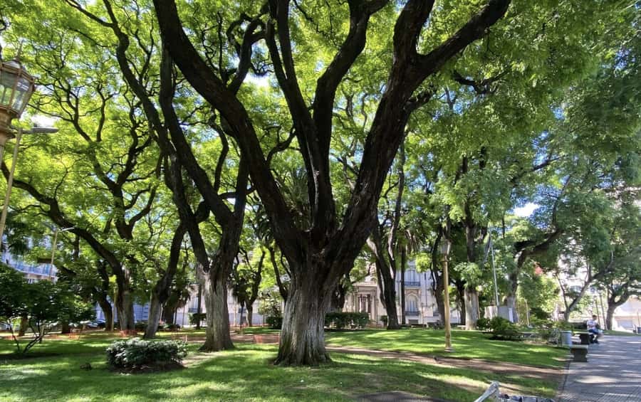 Buenos Aires: 7 Hour Small Group "BA 101" Walk - Avenida Corrientes and Florida Street: The Street That Never Sleeps