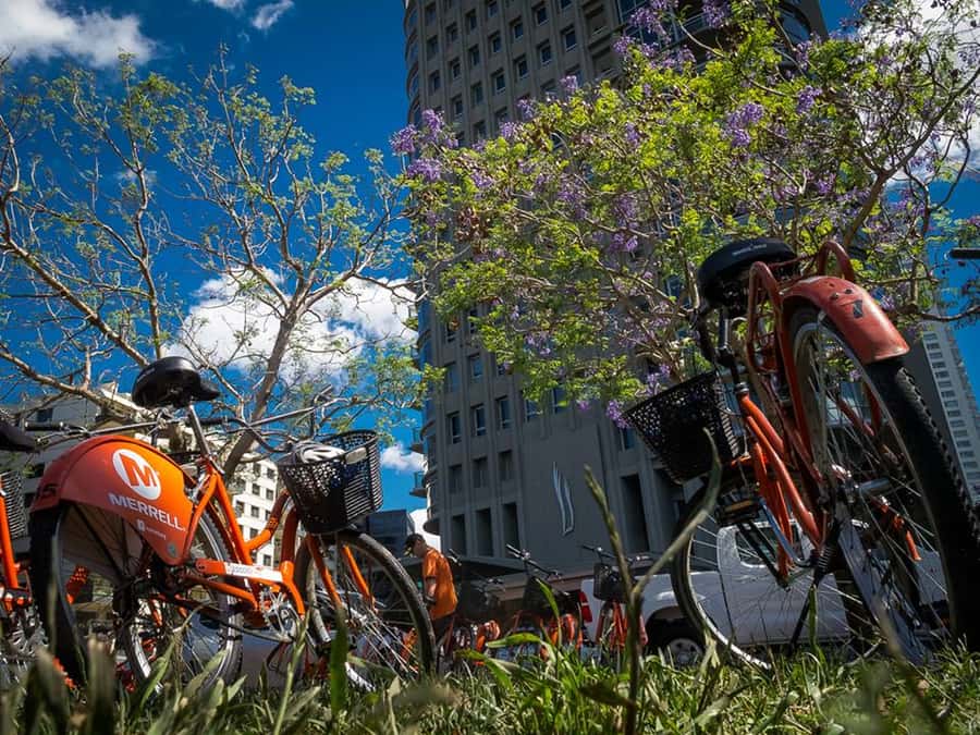 Buenos Aires Bike Tour: South or North Circuit - Meeting at Defensa 831, Then Rolling Out With a Real Plan