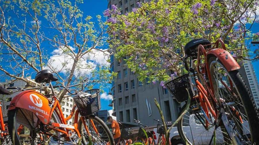 Buenos Aires Bike Tour: South or North Circuit - Price and Value: Is $50 Worth 3 Hours?