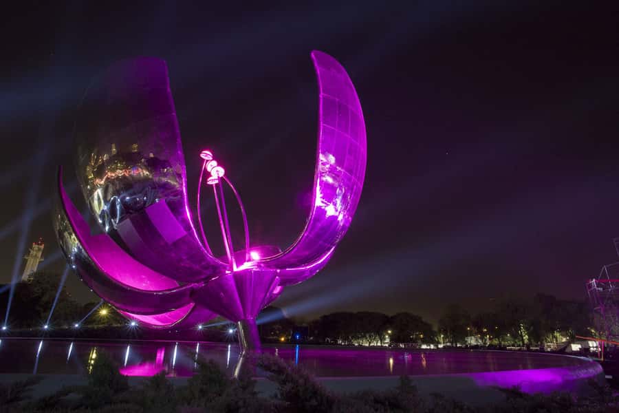 Buenos Aires by Night: Small Group City Tour - Why the Guide Makes This Tour Worth $59