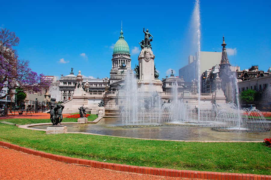 Buenos Aires City Tour with Luxury Lunch - San Telmo’s narrow lanes and the La Boca color cue
