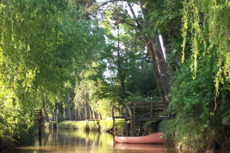 Buenos Aires: Classic Private Delta Tigre Boat Tour - Private service at $109: where the value comes from