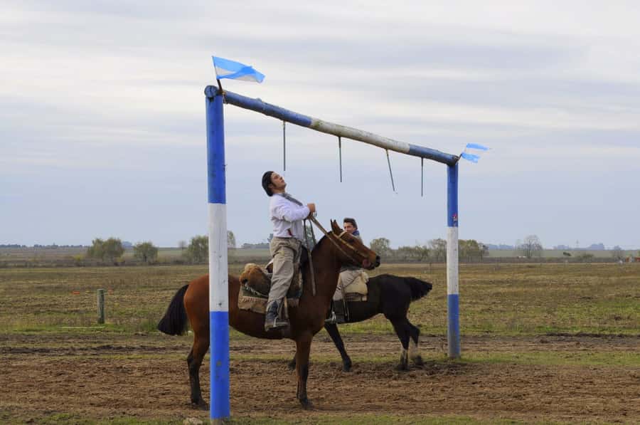 Buenos Aires: Don Silvano Ranch Gaucho Day Trip - A Gaucho Day Beyond the City Clock