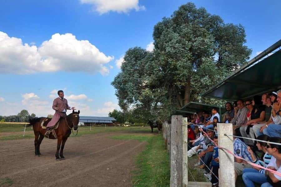 Buenos Aires: Don Silvano Ranch Gaucho Day Trip - The Pampas Drive That Sets Expectations