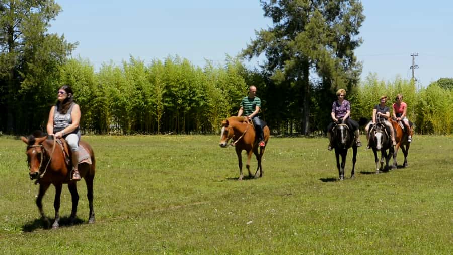 Buenos Aires: Don Silvano Ranch Gaucho Day Trip - Horseback Riding with a Working Gaucho Feel