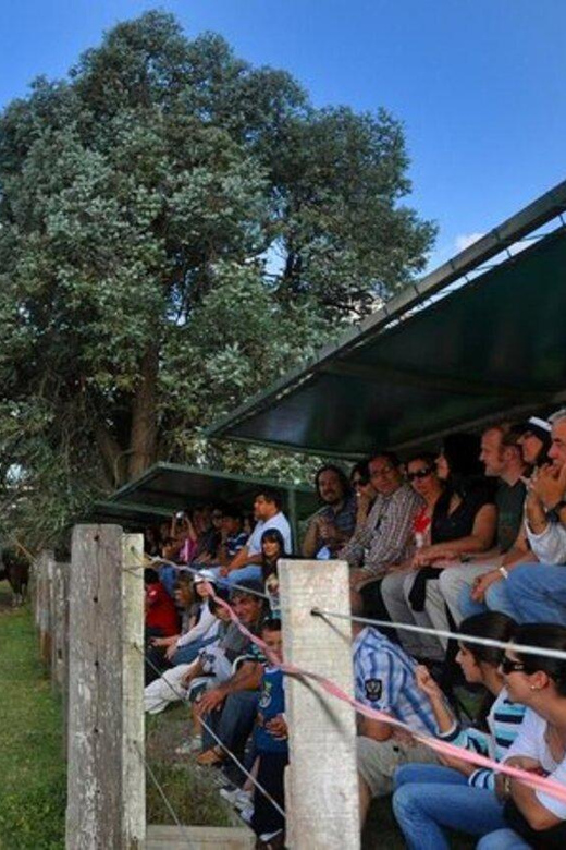 Buenos Aires: Don Silvano Ranch Gaucho Day Trip - Horsemanship Shows: Ring Races and More