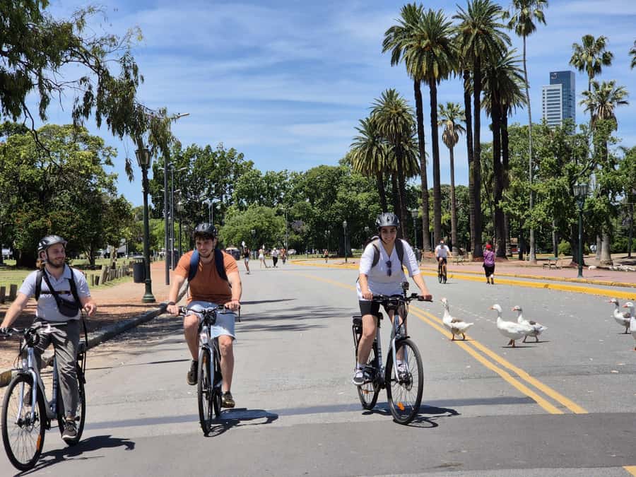 Buenos Aires: E-Bike Tour in the North Circuit of Buenos Aires - The Woman-Bridge Moment: Puente de la Mujer