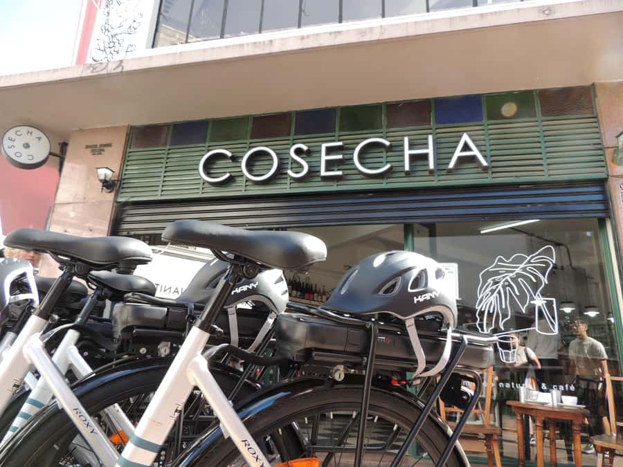 Buenos Aires: E-Bike Tour in the South Circuit of Buenos Aires - Usina del Arte and the Creative-Industry Side of the Neighborhood