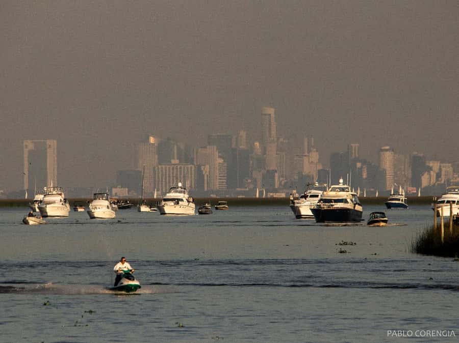 Buenos Aires: Premium Delta Navigation round trip - Service, timing, and the one thing you should do on booking day
