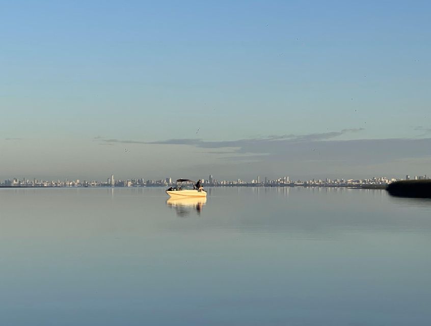 Buenos Aires: Private Delta Boat Tour with Barbecue onboard - Who This Tour Is Best For (And Who Might Skip It)
