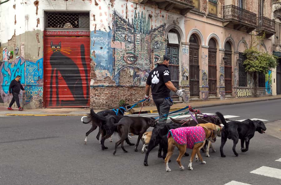 Buenos Aires: Private Photo Tour for Ammateur Photographers - The 15-minute bus ride to San Telmo: a smart reset