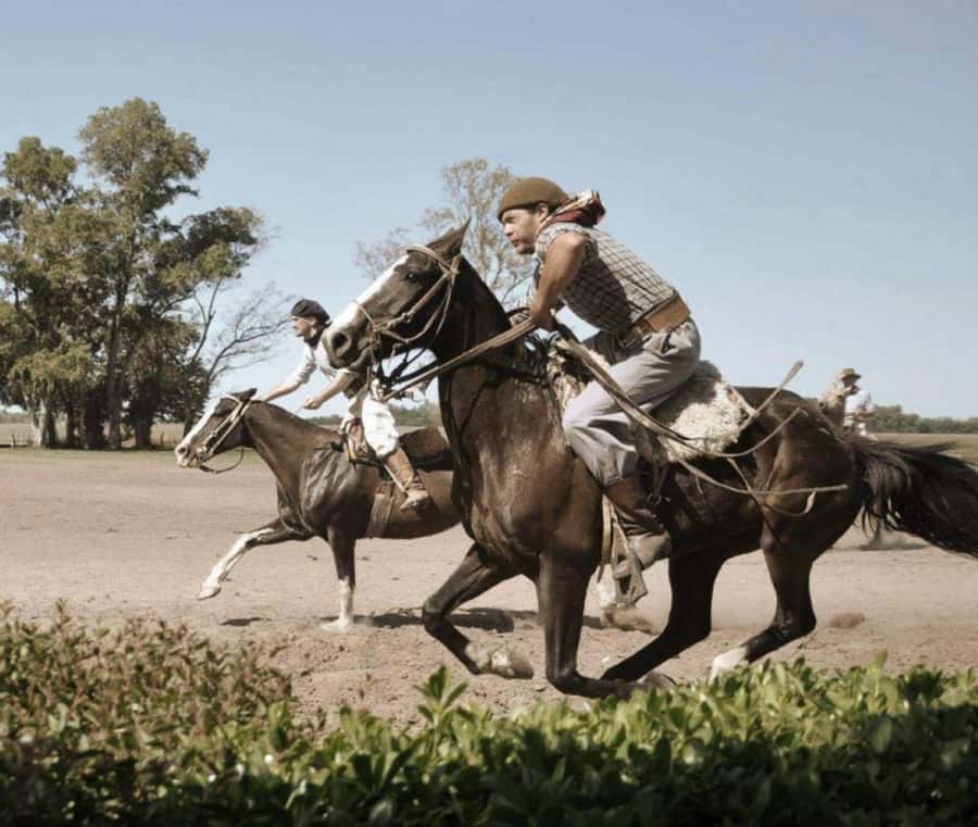 Buenos Aires: Santa Susana Ranch Day Tour, BBQ & Shows - Key highlights worth your attention