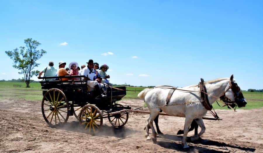 Buenos Aires: Santa Susana Ranch Day Tour, BBQ & Shows - Estancia Santa Susana: where gaucho tradition is the whole point
