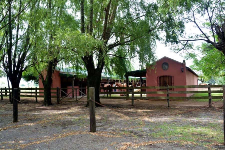Buenos Aires: Santa Susana Ranch Day Tour, BBQ & Shows - Museum and chapel time: the quiet half of the day