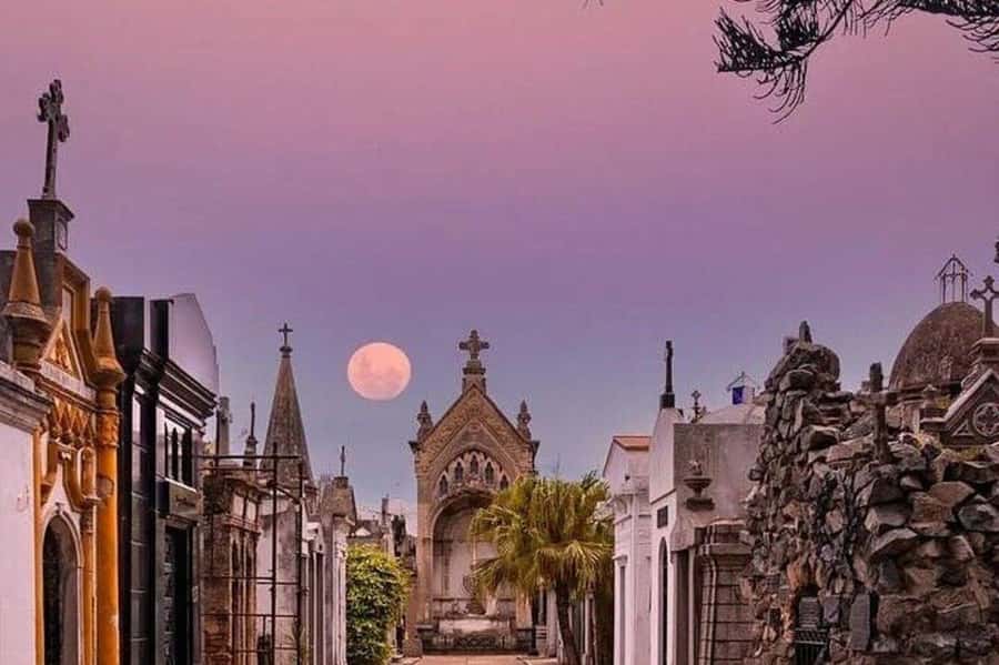 Buenos Aires: Small Group City Highlights Tour - La Boca and Caminito: guided time where the color actually matters