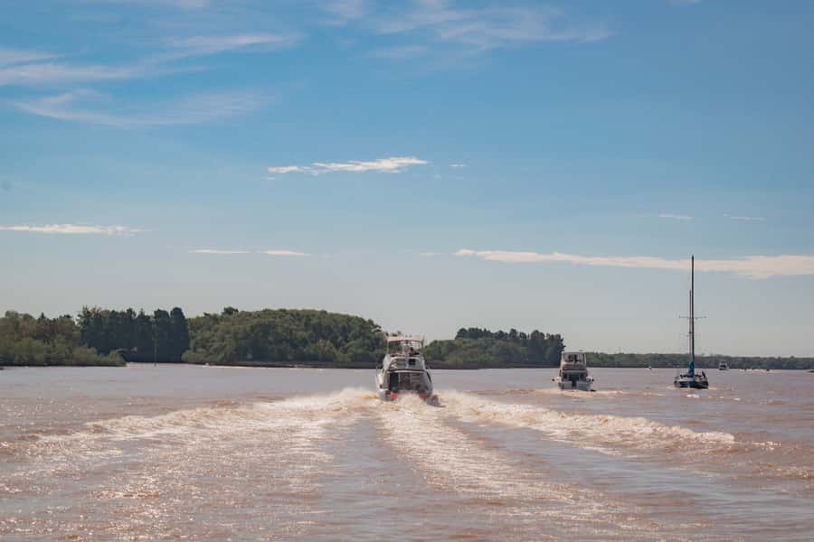 Buenos Aires: "Ticket"- 2hs of Navigation Premium to Tigre - Into the Paraná Delta: channels, stilt houses, and everyday life