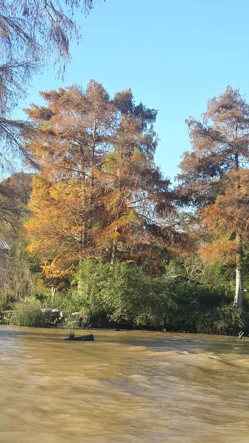 Buenos Aires: Ticket - Classic Delta of Tigre Boat Tour - Price and value: what $27 buys you in real terms