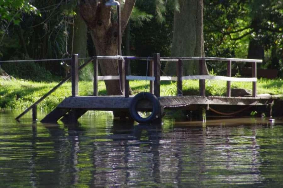 Buenos Aires: Tigre Delta Premium Boat Tour - Cruising through the Tigre Delta’s five main rivers