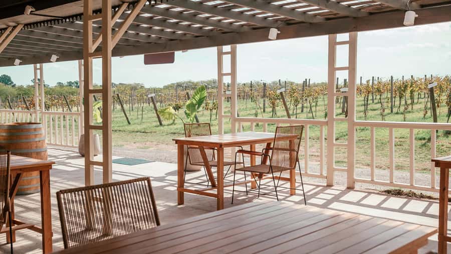 Buenos Aires: Wine Tasting and Lunch at Bodega Gamboa - Key Things That Make This Wine Day Worth Your Time