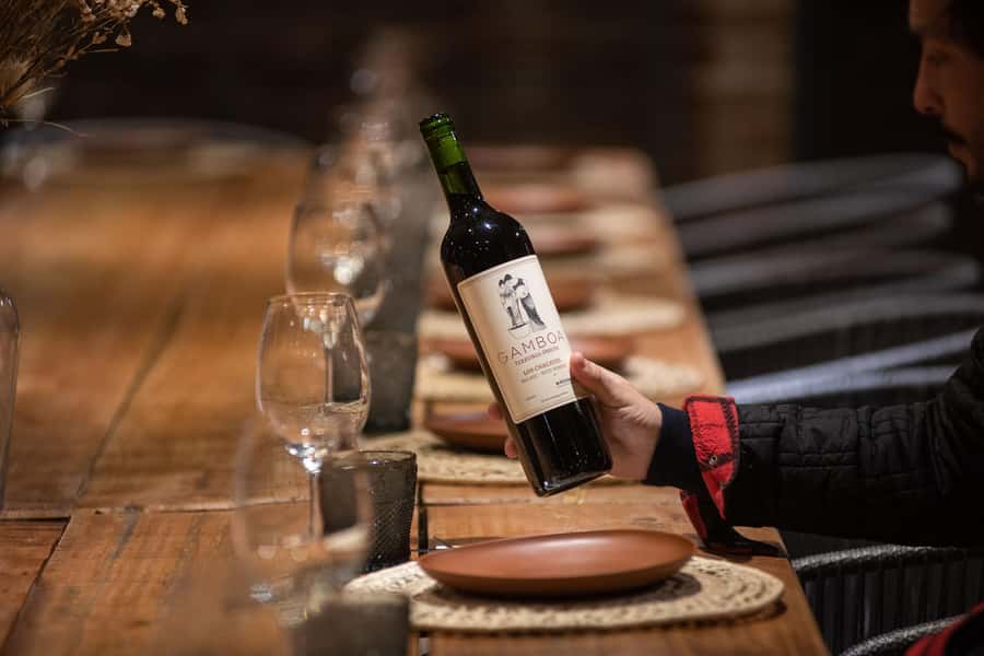 Buenos Aires: Wine Tasting and Lunch at Bodega Gamboa - Campana Vineyards: Why This Day Trip Fits Buenos Aires So Well