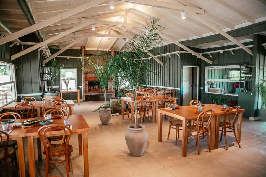 Buenos Aires: Wine Tasting and Lunch at Bodega Gamboa - Price and Value: Is $169 Worth It?