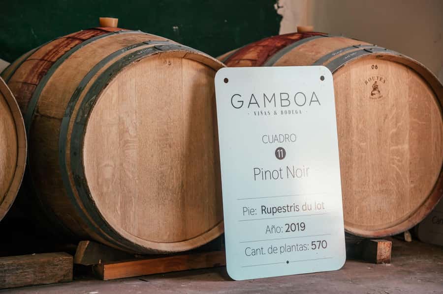 Buenos Aires: Wine Tasting and Lunch at Bodega Gamboa - What to Bring (and How to Prepare for a Relaxed Wine Day)