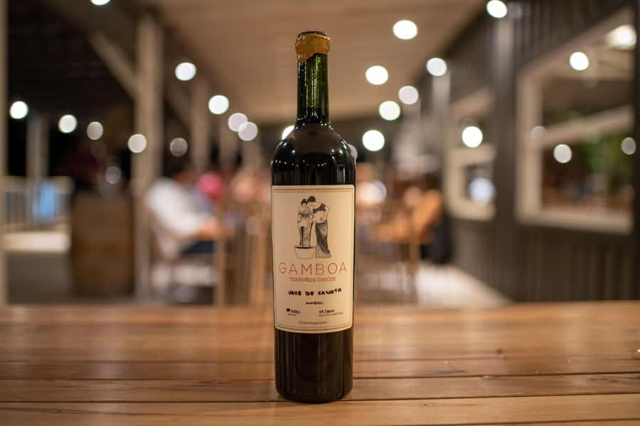 Buenos Aires: Wine Tasting and Lunch at Bodega Gamboa - Who This Tour Suits Best (and Who Should Skip It)