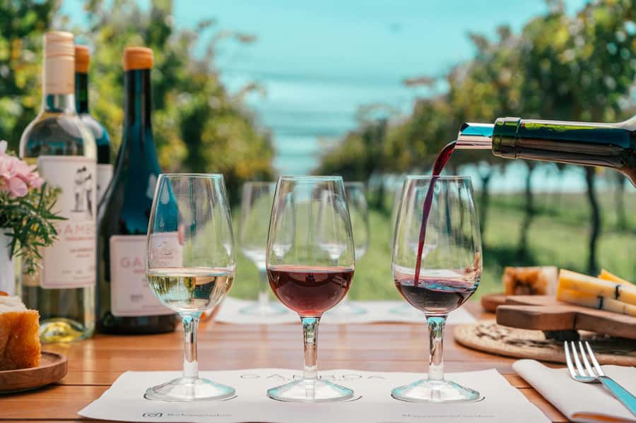 Buenos Aires: Wine Tasting & Lunch at Gamboa Vineyard - Key highlights worth your attention