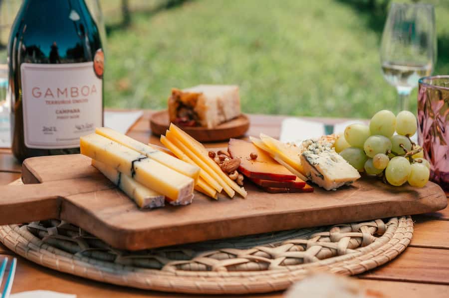 Buenos Aires: Wine Tasting & Lunch at Gamboa Vineyard - A 7-hour Buenos Aires escape to Bodega Gamboa