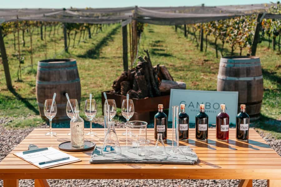 Buenos Aires: Wine Tasting & Lunch at Gamboa Vineyard - Poplar-tree arrival and why the setting matters