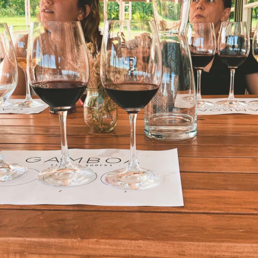 Enjoy a Rural Experience in a Vineyard near Buenos Aires - Who this tour fits best (and who might want something else)
