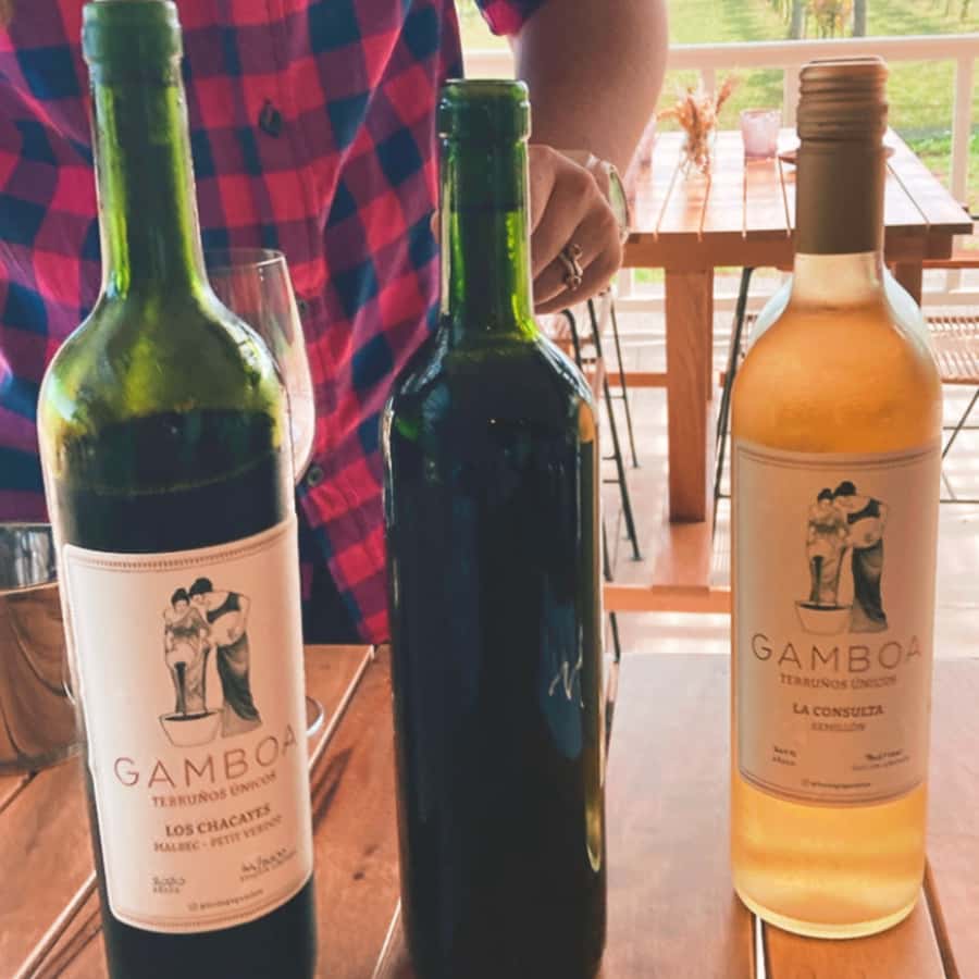 Enjoy a Rural Experience in a Vineyard near Buenos Aires - Casa Gamboa near Buenos Aires: a rural day that still feels easy