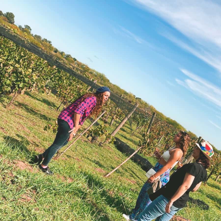 Enjoy a Rural Experience in a Vineyard near Buenos Aires - The vineyard tour: from vines to the wine-making process