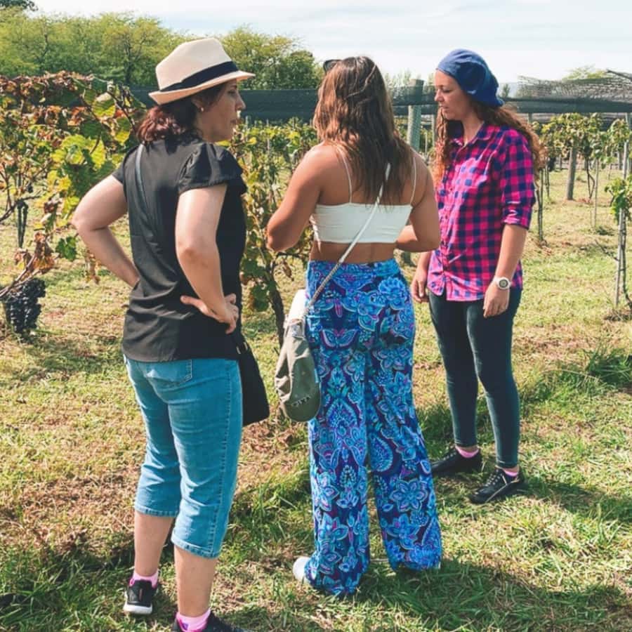 Enjoy a Rural Experience in a Vineyard near Buenos Aires - Tastings and pairings: tasting wines with a food mindset