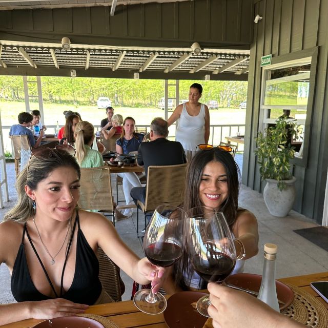 Enjoy a Rural Experience in a Vineyard near Buenos Aires - Language and guide support: choosing the right tour voice