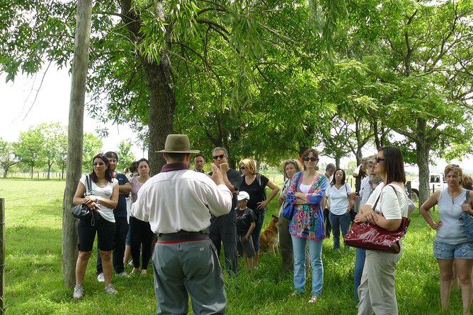 Estancia Gaucho Day at Buenos Aires - El Ombú-style estancia time: horses, ranch food, and the gaucho show