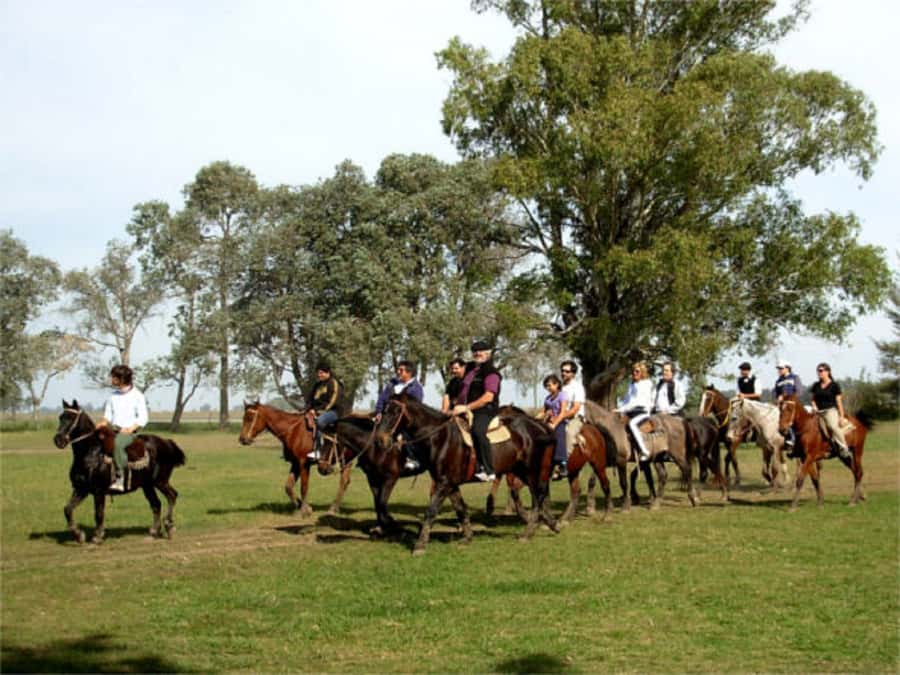 From Buenos Aires: Estancia Don Silvano Tour with Lunch. - Key things to know before you go