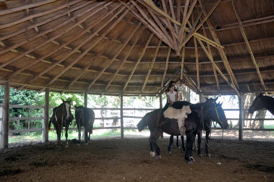 From Buenos Aires: Estancia Don Silvano Tour with Lunch. - Should you book Estancia Don Silvano with lunch?