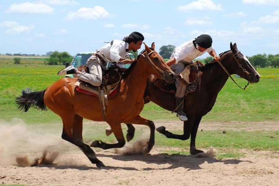 From Buenos Aires: Estancia Don Silvano Tour with Lunch. - The reception moment: empanadas, a drink, and how the hosts set the mood