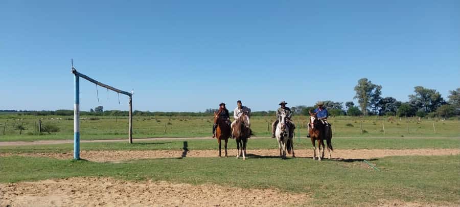 From Buenos Aires: Estancia Don Silvano Tour with Lunch. - Tea and local snacks: infusion, cakes, and fried cake for the finish