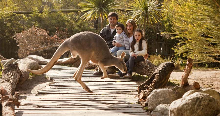 From Buenos Aires: Full-Day Temaiken Eco Park - Buenos Aires to Temaiken: What This Day Trip Really Offers