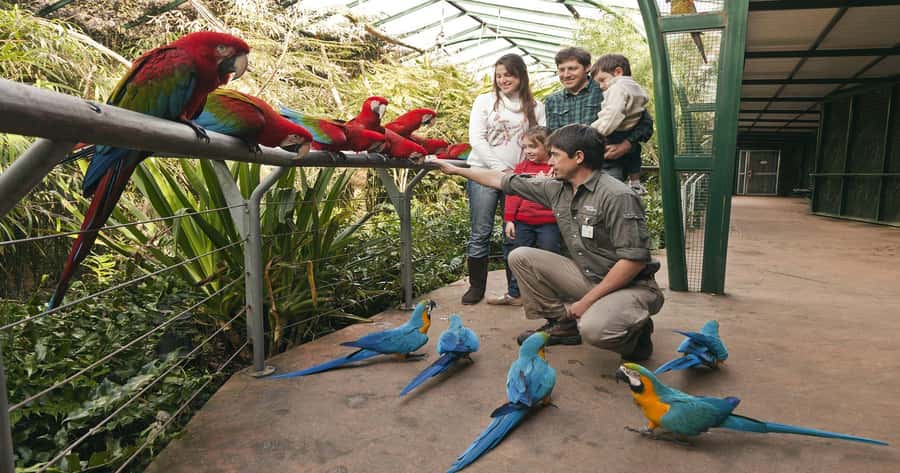 From Buenos Aires: Full-Day Temaiken Eco Park - Getting Back to Buenos Aires: Drop-Off Reality Check