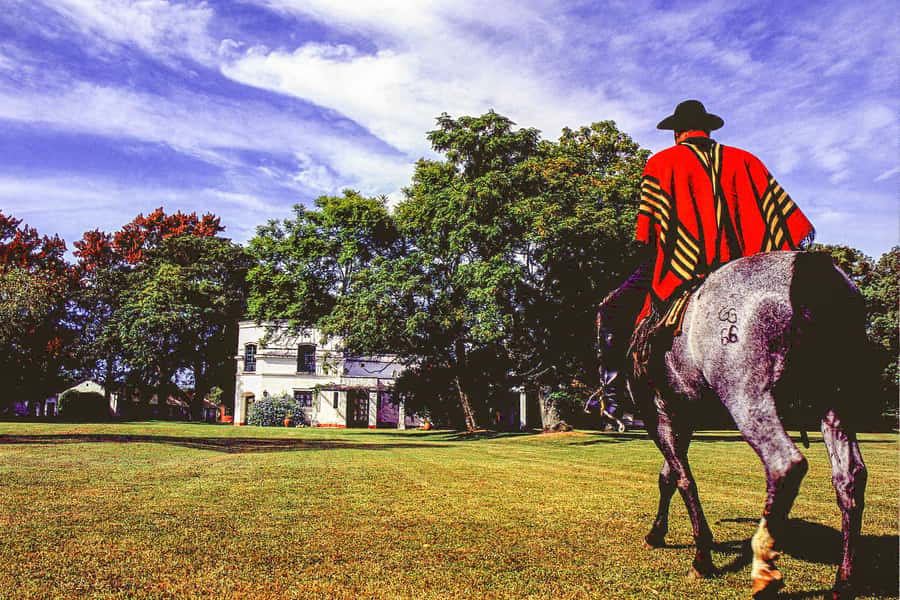 From Buenos Aires: Gaucho and Ranch Day Tour - Horseback vs Carriage: Pick the Pace You Can Handle
