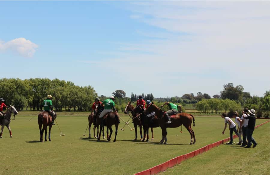From Buenos Aires: Polo Match, Lesson, and BBQ Day-Trip - Quick Polo Day Highlights (What Matters)