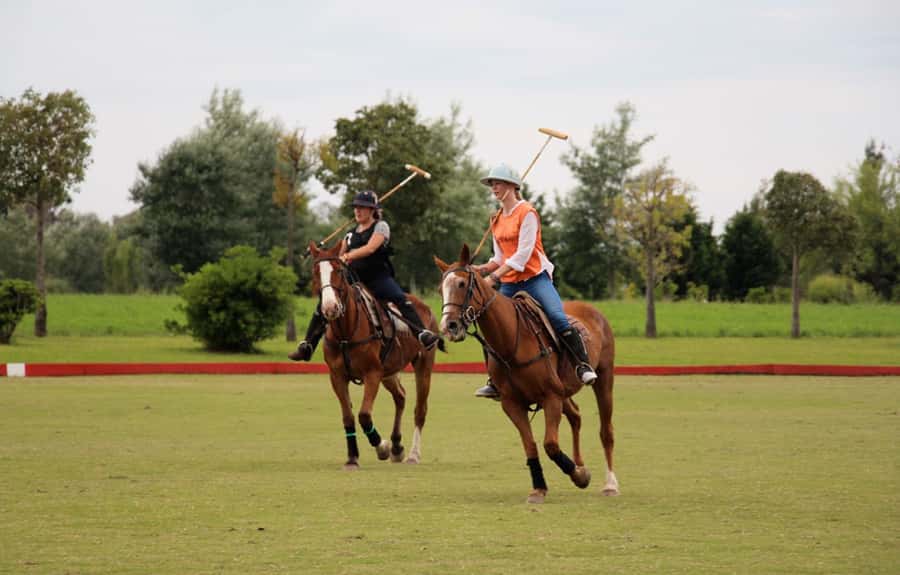 From Buenos Aires: Polo Match, Lesson, and BBQ Day-Trip - Why This Polo Day Feels Like More Than a Show