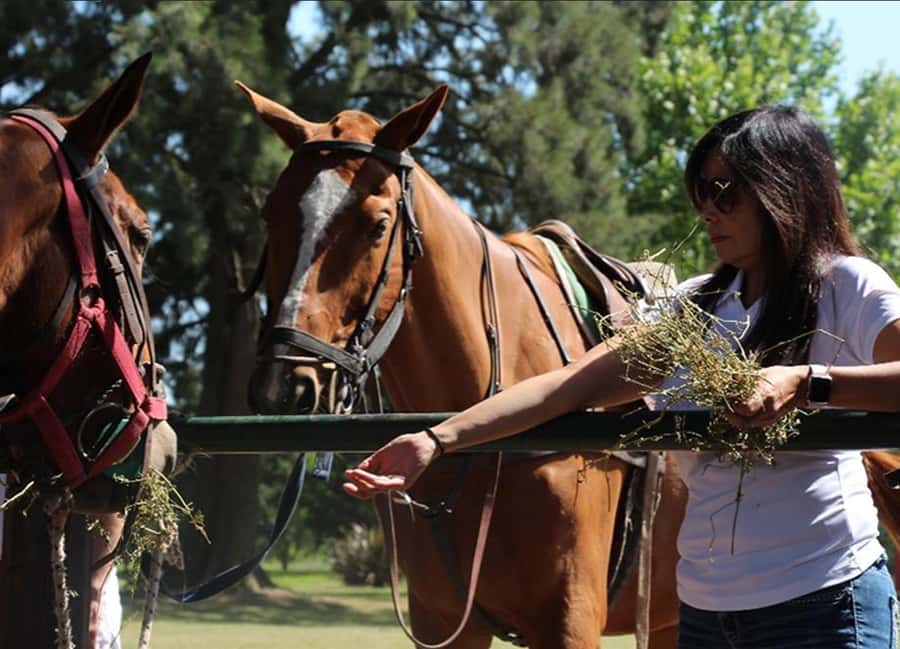 From Buenos Aires: Polo Match, Lesson, and BBQ Day-Trip - Getting Out: Pickup, the 80 km Drive, and Your First Welcome