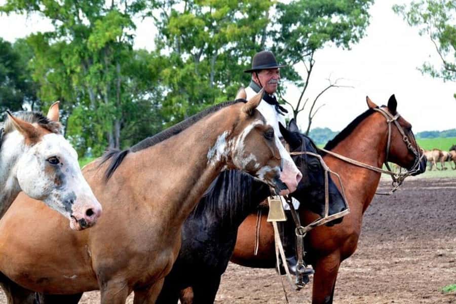 Full-Day at Santa Susana Ranch with BBQ, Drinks and Show - Lunch: Argentinian BBQ with tango and folklore in the same sitting