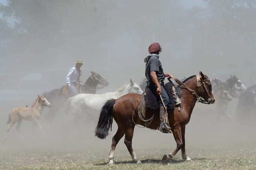 Full-Day at Santa Susana Ranch with BBQ, Drinks and Show - Practical tips before you go: what to bring and what to expect